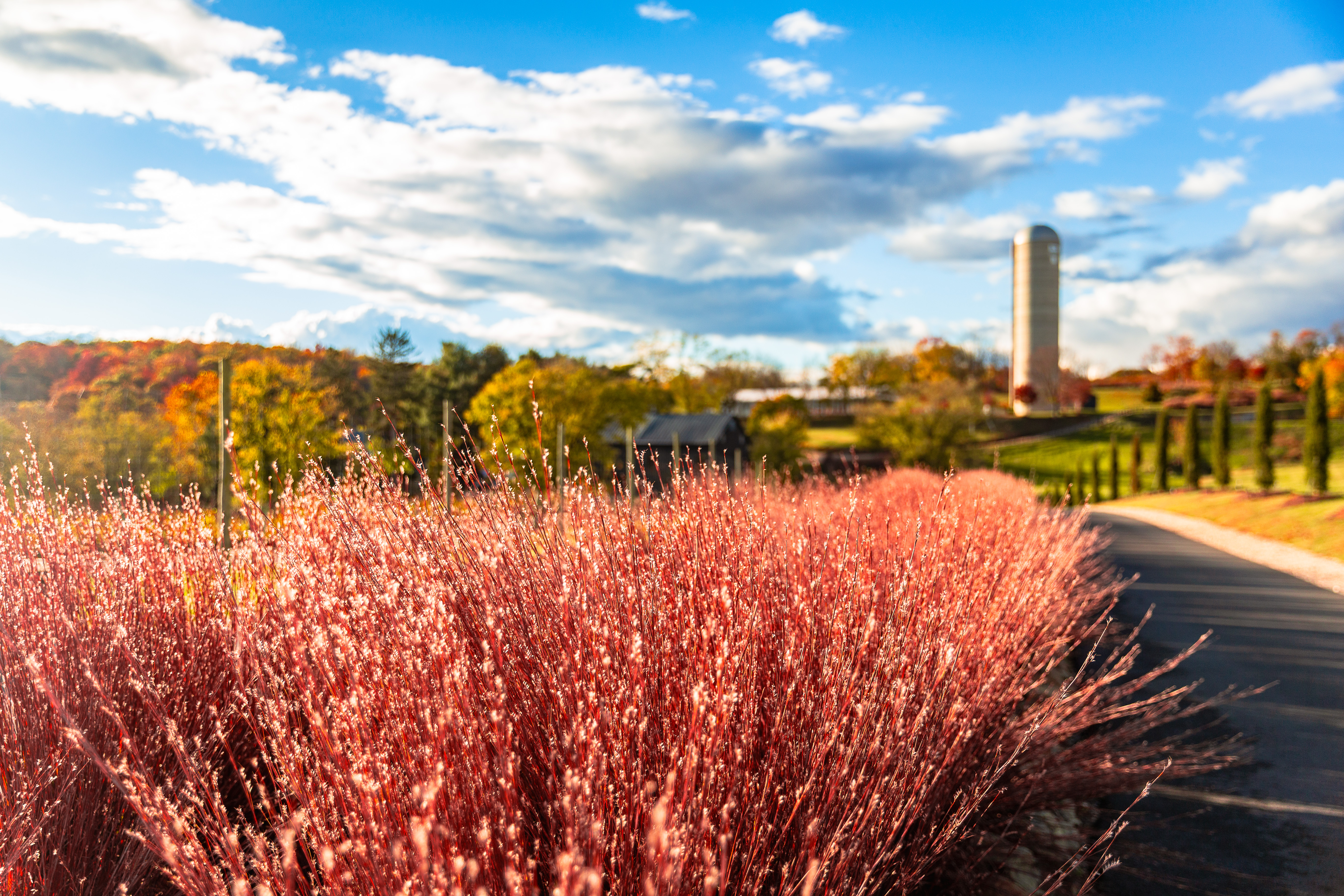 Glamping at Tranquility Farm