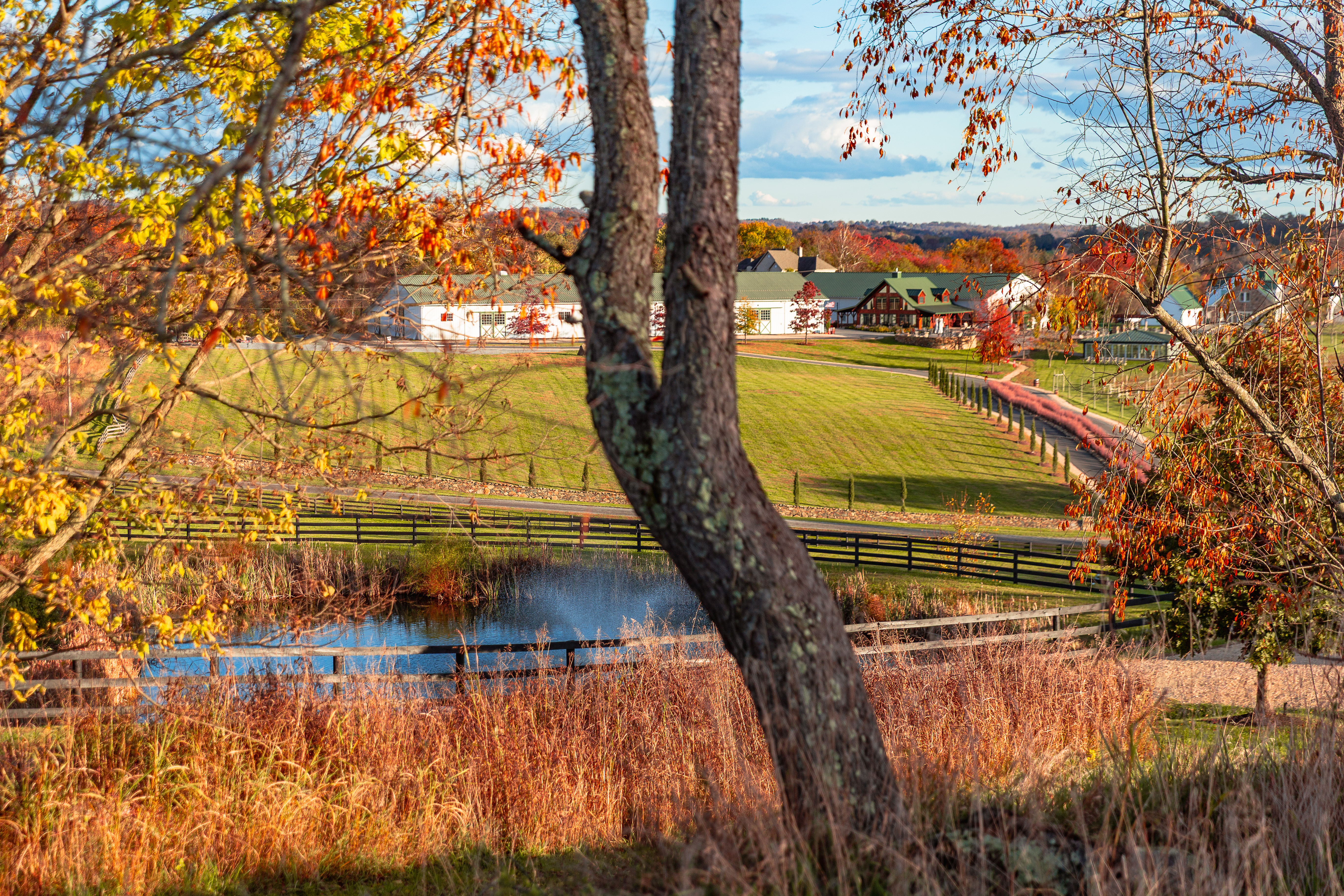 Wedding at Tranquility Farm